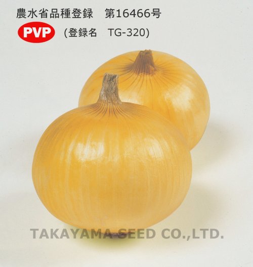 003771_67ce53de912fc.jpg