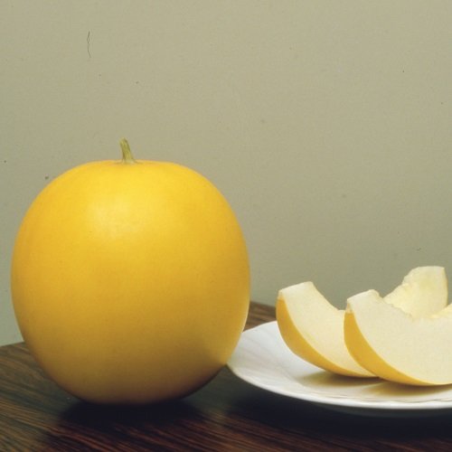 003856_64a37e2166c97.jpg
