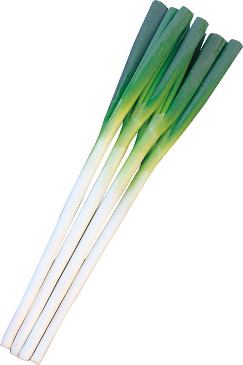 004579_635639c2d5709.jpg