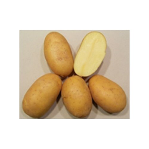 004693_65a8dd69c5dd4.jpg