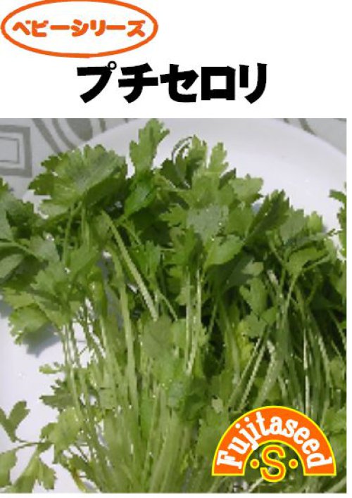 004994_628afefe1d8af.jpg