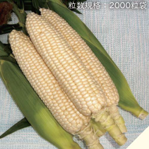 007478_5fe29b80db5f7.jpg