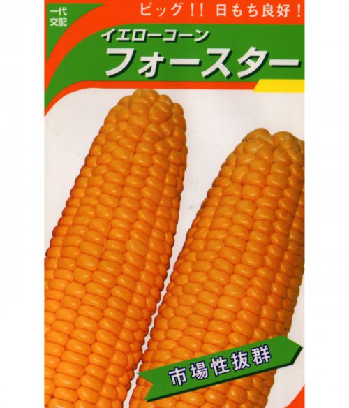 007969_601b3f52bc71a.jpg