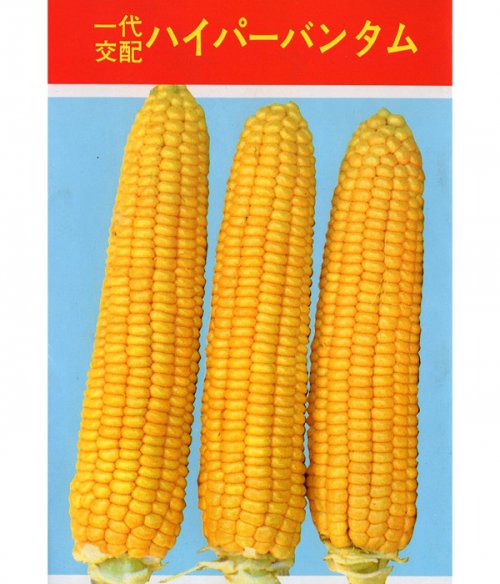 007971_601b4237aa0d7.jpg