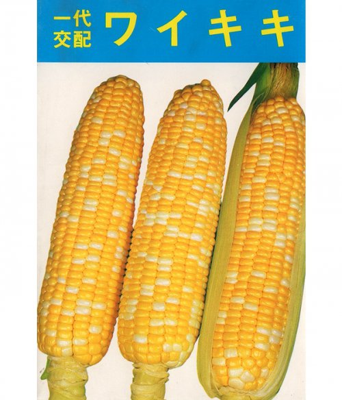 007972_601b42e5c82ff.jpg