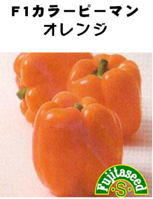 18876円 高品質 たね 横浜植木 ピーマン パプリカ UN-506D オレンジ 写真左 500粒