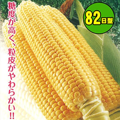 009680_601b50fb765f6.jpg