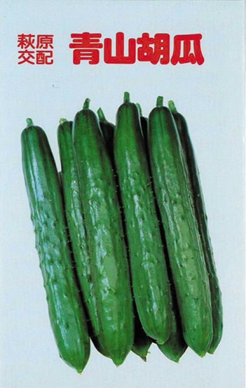 009974_629801dd7cbb8.jpg