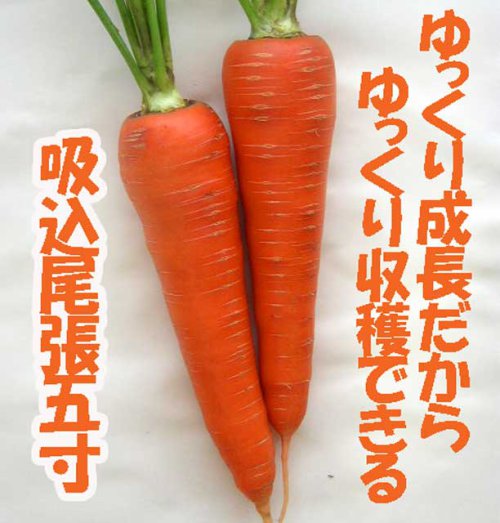 010005_62b95babc8e2d.jpg