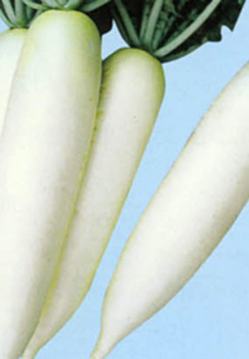 0102002023020.jpg