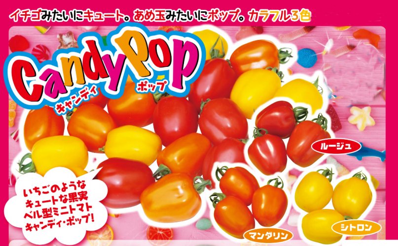 キャンディポップ ミニトマト E 種や 国内最大級の野菜種 花種 苗 農業資材の販売店 キャンディポップ ミニトマト E 種や 国内最大級の野菜種 花種 苗 農業資材の販売店