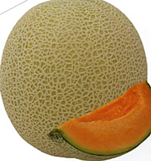 0103007023011.jpg