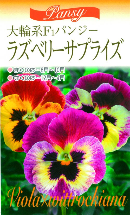 010352_5f62feec41d3c.jpg