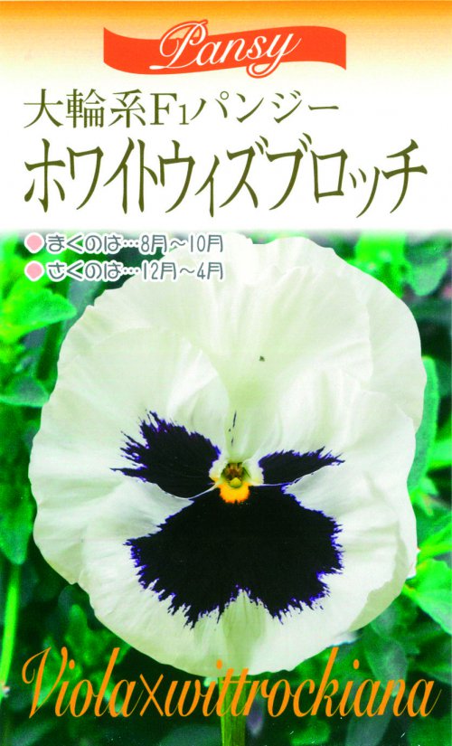 010354_5f62ff2b3b292.jpg