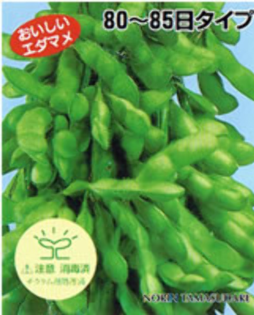0104002024001.jpg