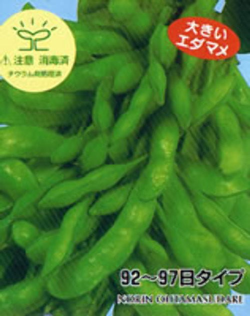 0104002024004.jpg