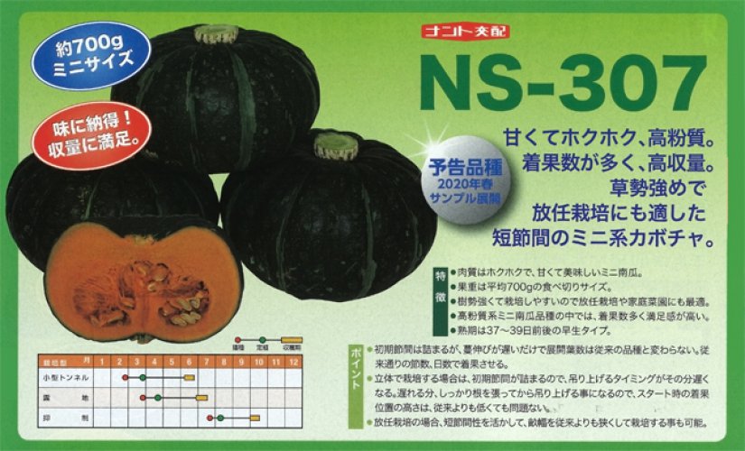 Ns 307 南瓜 E 種や 国内最大級の野菜種 花種 苗 農業資材の販売店