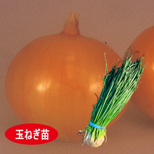 010443_5f969f690c739.jpg