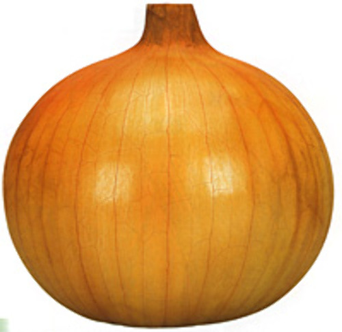 0108002004010.jpg