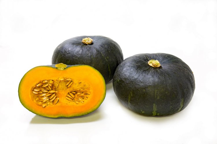南瓜（かぼちゃ） - e-種や｜国内最大級の野菜種・花種・苗・農業資材 