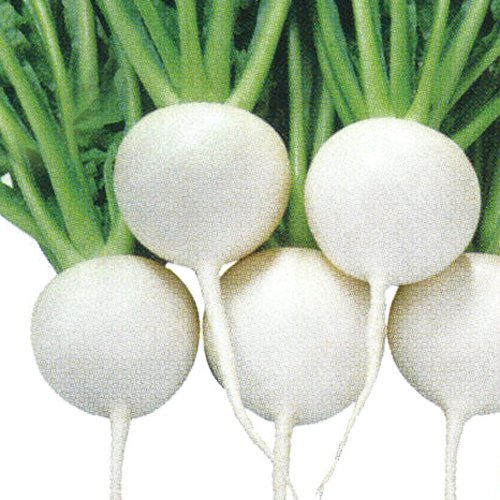 011123_60bed90a9c8d2.jpg