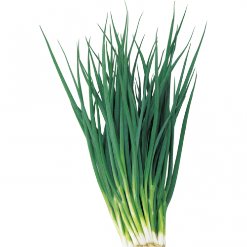 011141_60d1ad93c8e8b.png