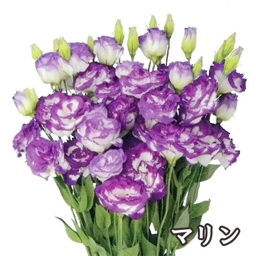 011290_6136d2cec9187.jpg