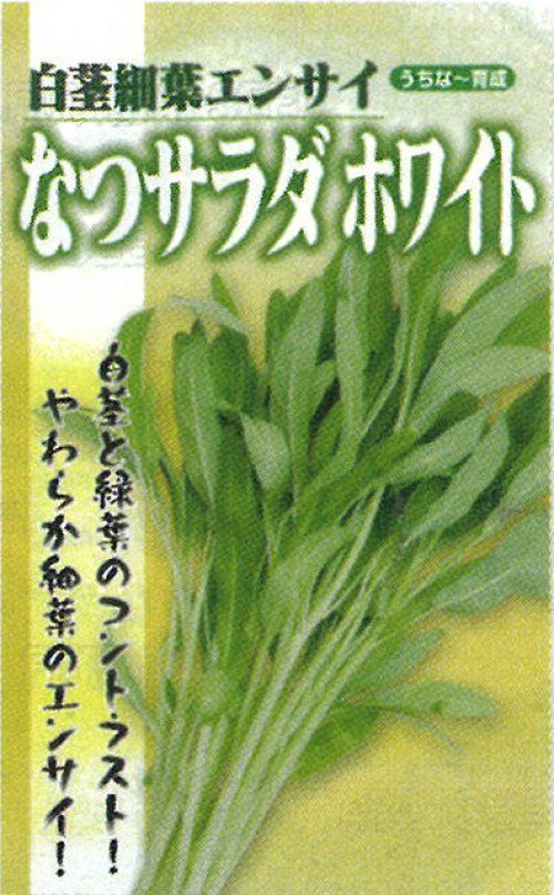 なつサラダ ホワイト[空芯菜] - e-種や｜国内最大級の野菜種・花種・苗