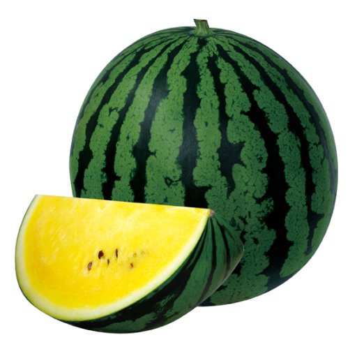 011410_61b1bbaee01b5.jpg