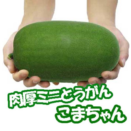 011614_621f1de1cfa05.jpg