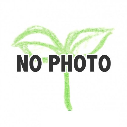 011679_650ba49a66bac.jpg