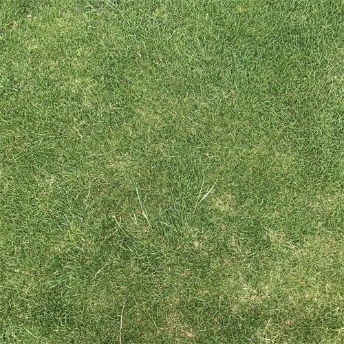 011796_640551ba2a0a1.jpg