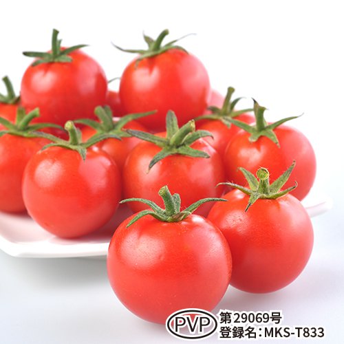 011876_6284bd8300765.jpg