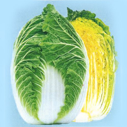 011890_62b1321bdf84c.jpg