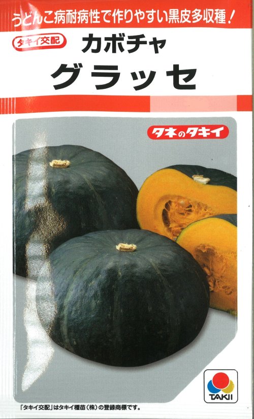 美品】 かぼちゃ バターナッツ 100粒 タキイ交配