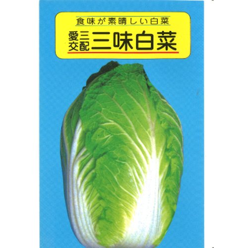 012133_62e8cc8367969.jpg