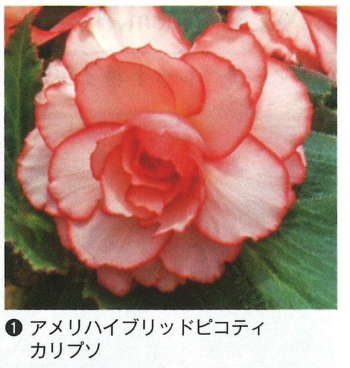 012229_64ba524698fbd.jpg
