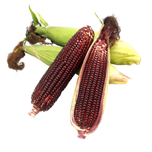 012377_63491a3d58342.jpg