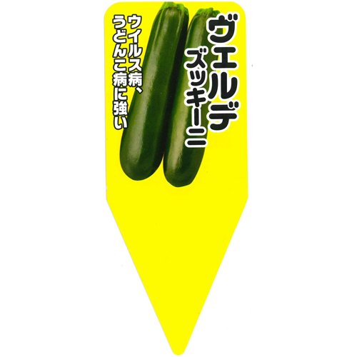 012547_635f7881d4e07.jpg