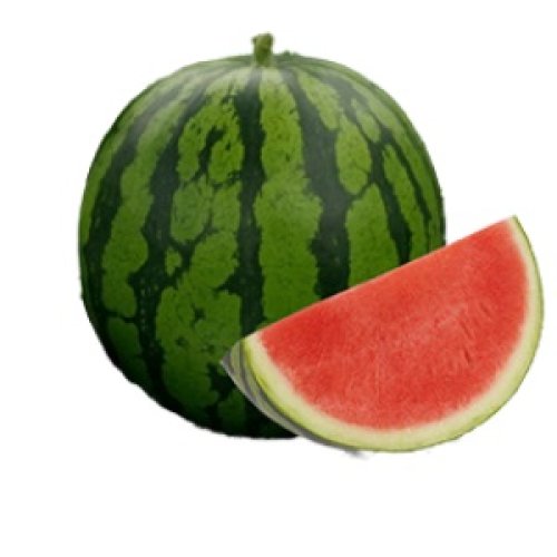 012580_6364d9e160596.jpg