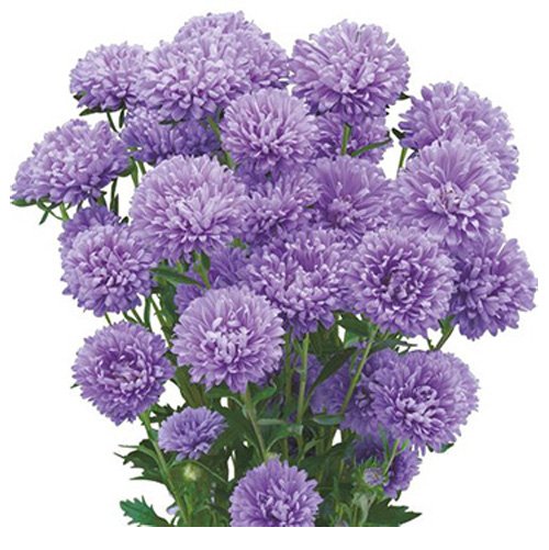 012855_63e5995f7bac8.jpg