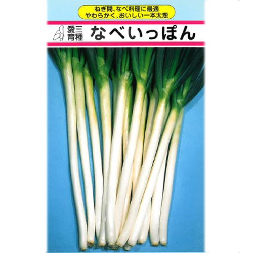 013790_645e063d67faf.jpg