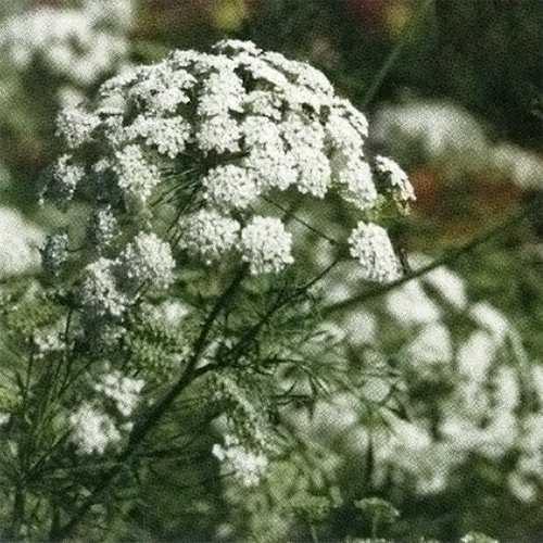 014040_6459dc7c9b5d9.jpg