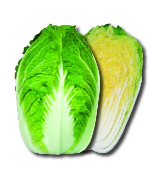 014128_6477e9073cbdd.jpg