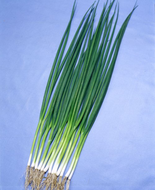 014314_64a248f0e06d8.jpg