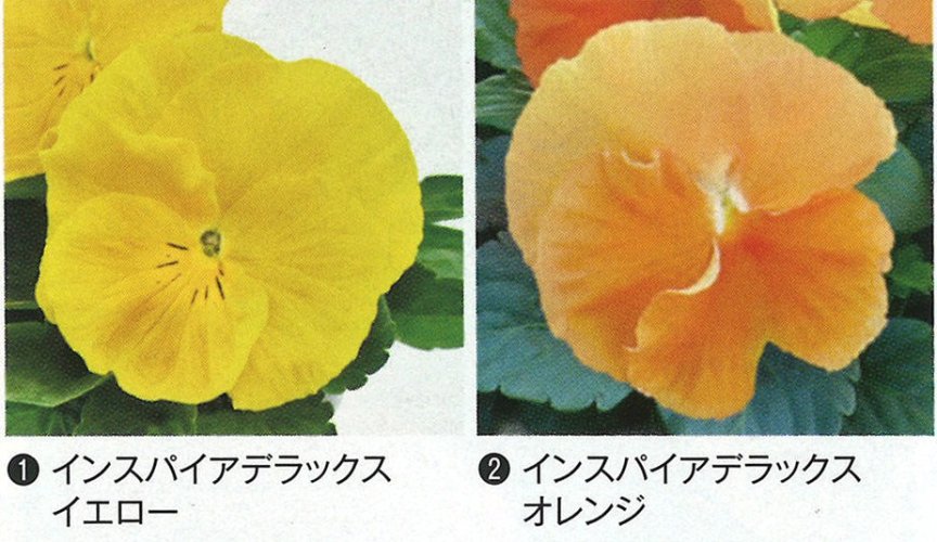 014426_64b8ef153c981.jpg
