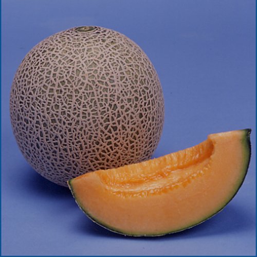 014638_652f7180bc3d1.jpg