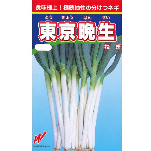 楽天市場】ねぎ ねぎ専用 種まきの土 肥料入り ネギ培土 農業