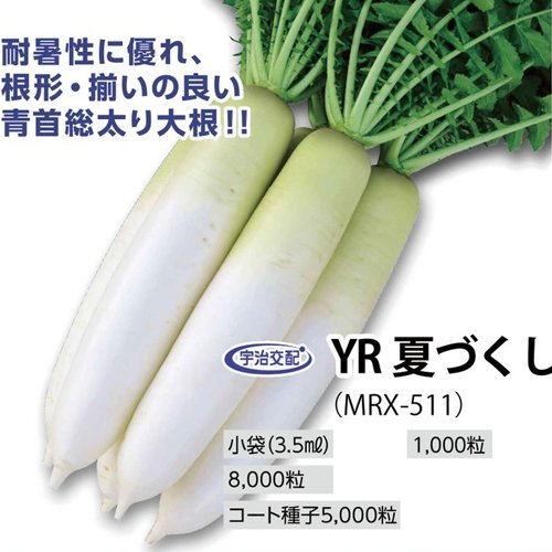 015123_6666d19a4cc84.jpg