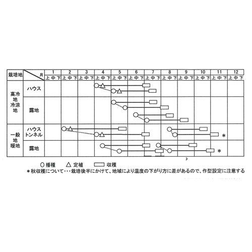 015577_67a0845a4bb2d.jpg